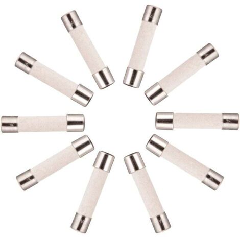 10x Fusible Temporisé (T) en céramique 10A / 250VAC 5x20mm