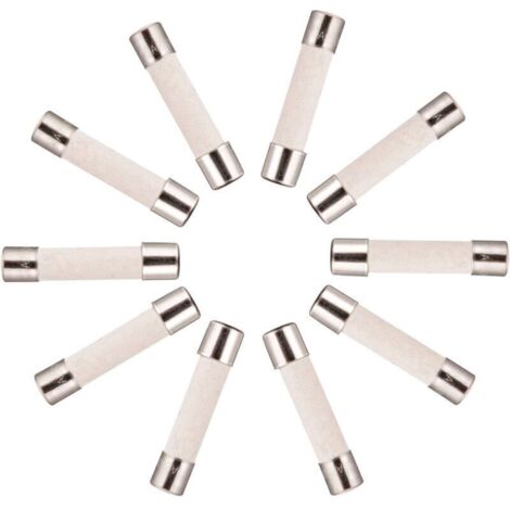 10x Keramik-Zeitverzögerungssicherung (T) 10A / 250VAC 5x20mm