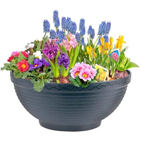 10x Pflanzen Schale Übertopf Blumenkübel Kräutergefäß Garten Dekoration