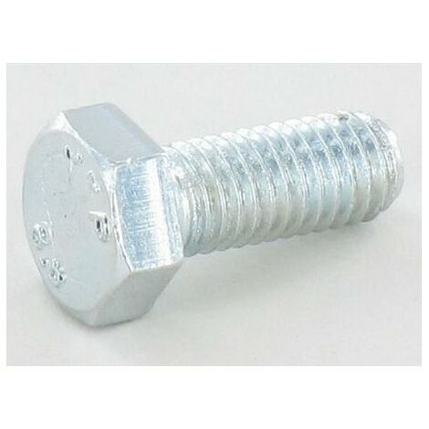 112789008/0 - Vis pour Tracteur & Tondeuse Castelgarden / GGP / STIGA