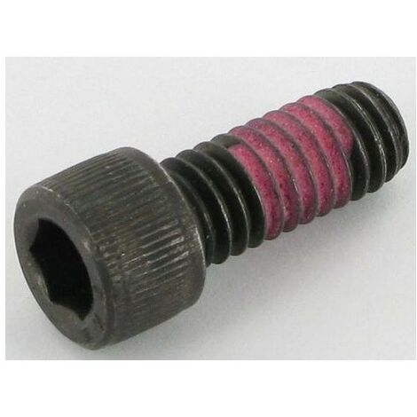 1134-4930-01 - Vis de tube d'Echappement pour Tracteur Tondeuse STIGA