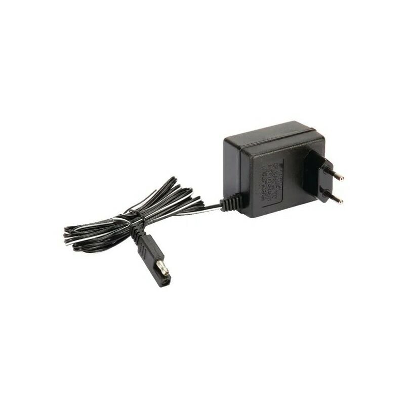 118204120/1LC - Chargeur de batterie pour tondeuse Castelgarden / GGP / STIGA