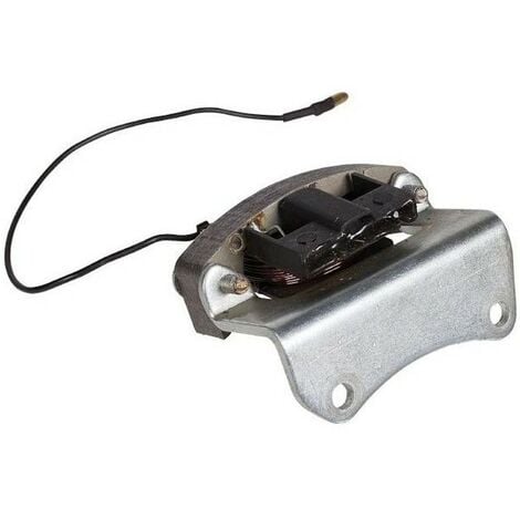 118550174/0 - Alternateur pour moteur GGP SV200