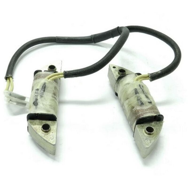 118550210/1 - Alternateur pour Moteur Castelgarden ggp