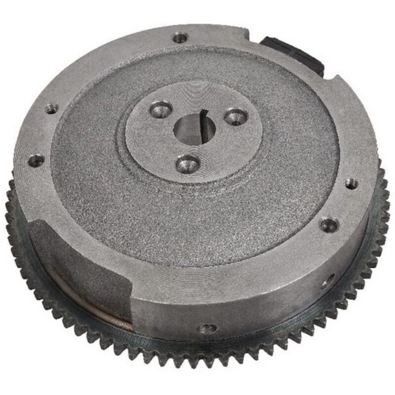 118550234/2 - Volant Magnétique pour Moteur castelgarden / ggp