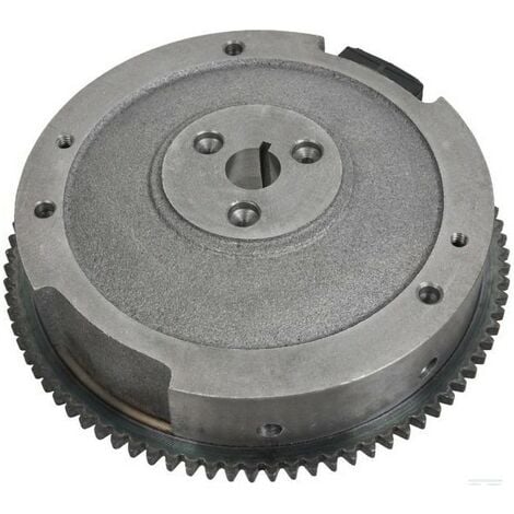 118550234/2 - Volant Magnétique pour Moteur CASTELGARDEN / GGP
