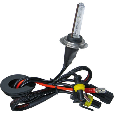 12/24V Lampadina HID Xenon 4.300K - H7 - 1 pz  - Scatola