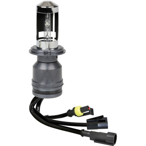 12/24V Lampadina HID Xenon 5.000K - H4 - 1 pz  - Scatola