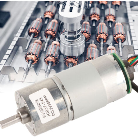 12/24V Torsionsgetriebemotor mit Encoder, Hochleistungs-Untersetzungsgetriebe (30 U/min, 12V)