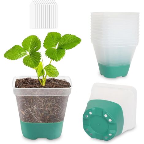 12 bandejas de cultivo, 12 etiquetas, 8 cm, transparentes, con base de silicona, bandejas de cultivo cuadradas de plástico, aptas para el cultivo de plantas de interior y exterior, azul verdoso