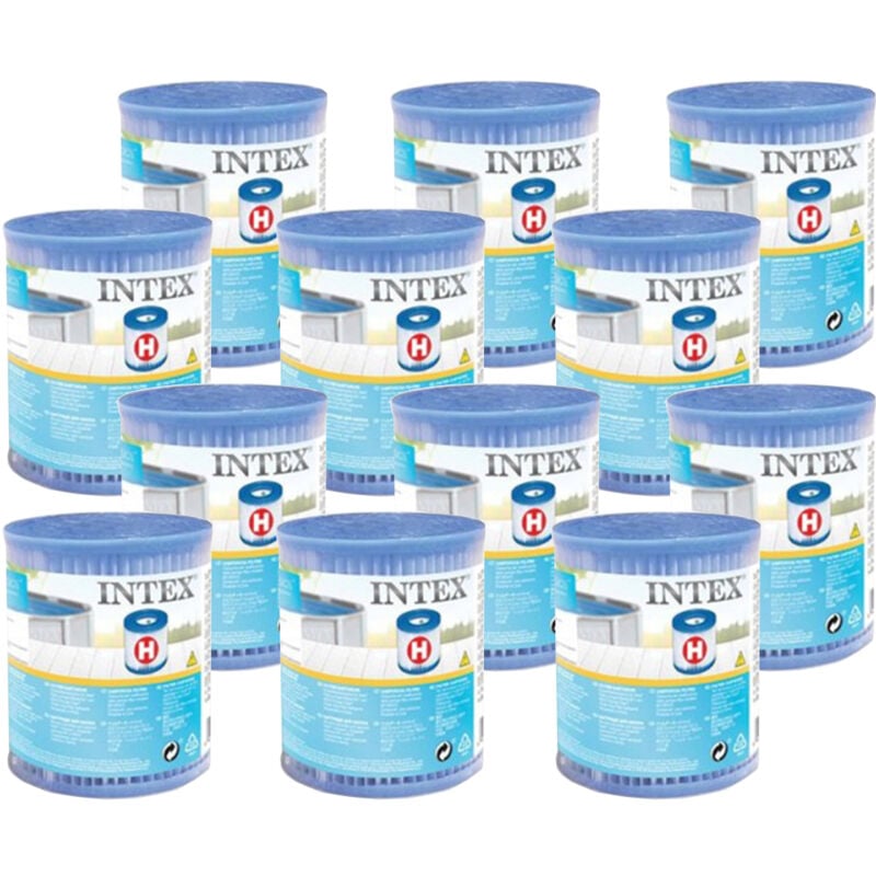 12 cartouches de filtration h Intex
