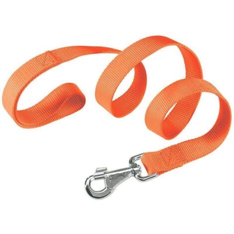 1.2 m Orange Nylon Dog Standard Leash