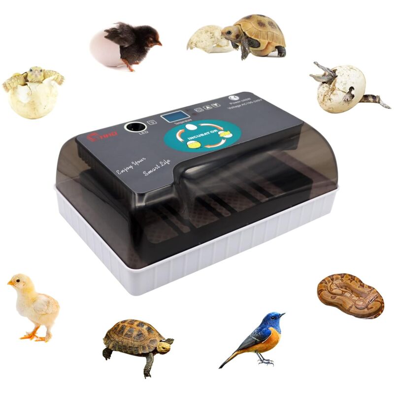 12 œufs Incubateur Automatique Affichage Numérique Couveuse Contrôle Température Automatique pour Plusieurs Tailles d'oeufs