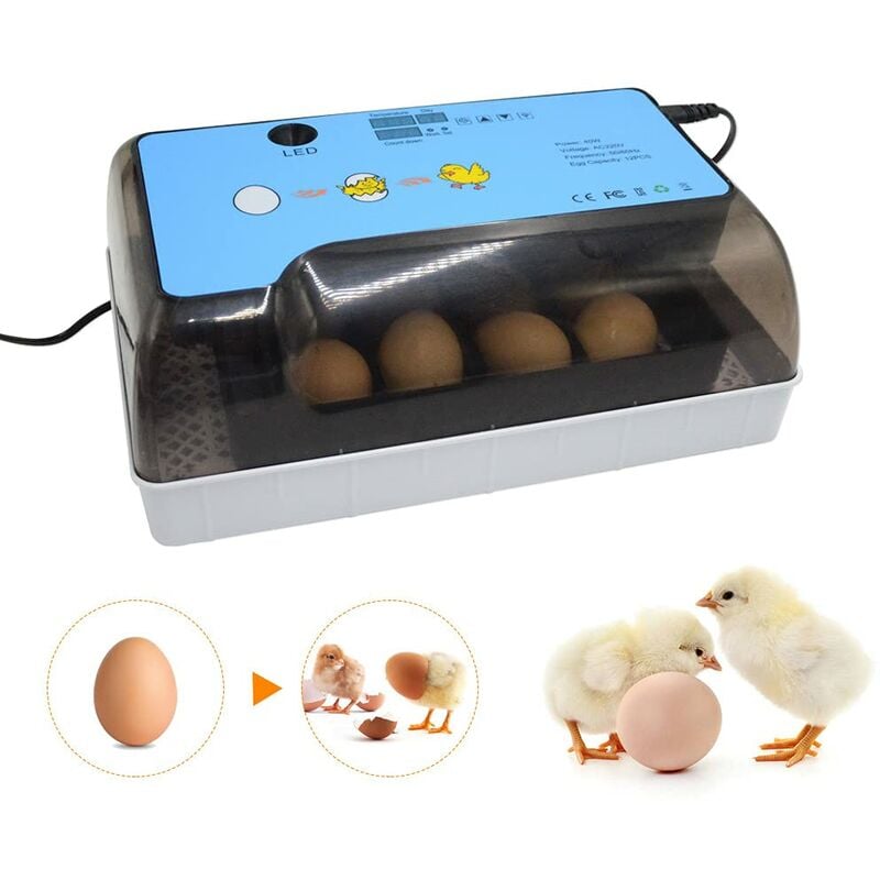 12 oeufs mini numérique incubateur oeuf entièrement automatique incubateurs couveuse oeufs de poule avec led volaille incubateur température et