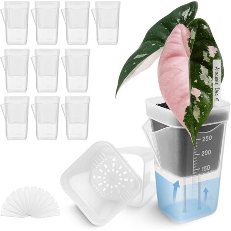12-Piece Mini Self-Watering Flower Pots, Suitable for Indoor Plants, Small Transparent Plastic Flower Pots, Suitable for Violets, Cuttings, Seeds, Water Level Indicator, Drainage Hole, 12 Plant Tags -