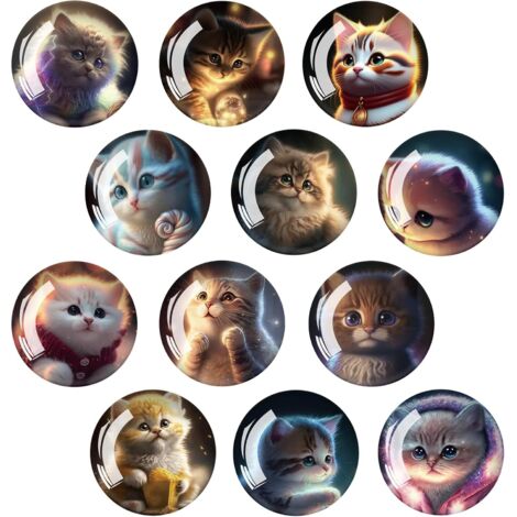12 Pièces Aimants pour RéFrigéRateur DéCoratifs 3D Ronds Magnet Frigo Aimant Frigo Enfant AdaptéS aux RéFrigéRateurs,Bureaux,Appartements,Placards,Tableaux Blancs,etc