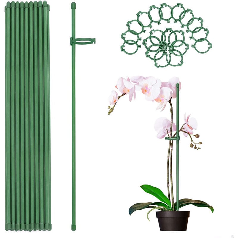 12 pièces piquet de soutien pour plantes - 40cm pour plantes grimpantes, piquet anti-chute piquet de fleur à tige unique piquet de jardin - green