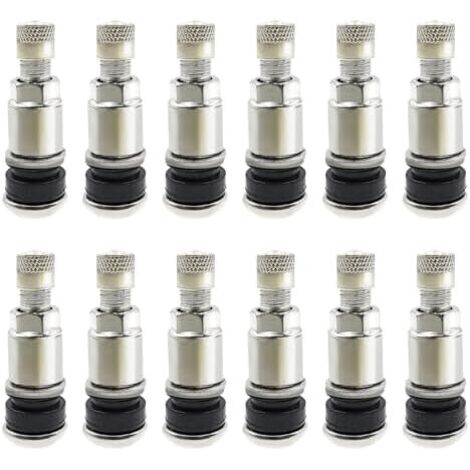 12 Pièces Valves en Acier Inoxydable TR525 Argenté avec Capuchon de Poussière Valve Pneu Voiture Tubeless Jante Métal pour Voitures Motos Camions -