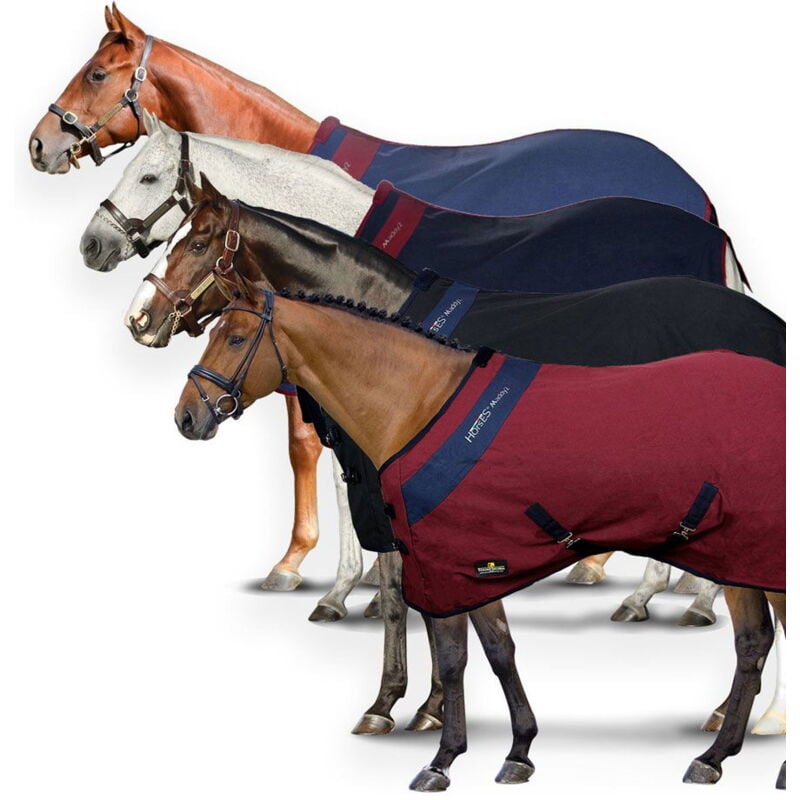 Horses - 155 cm, Bleu et bordeaux: Couverture en coton modèle Maddy 2 pour chevaux