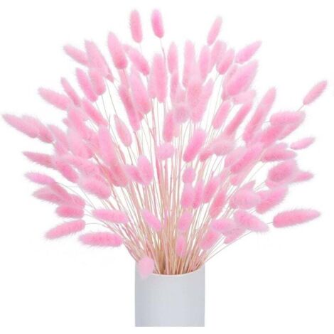 120 Pcs Pampa Séchées Naturelle Décoration, Herbe de la Pampa Fleurs Séchées Décoration Bouquet de Fleurs Séchées pour Les Fleurs Boho de Mariage et la Décoration de Table à la Maison(Rose)（Bouteille
