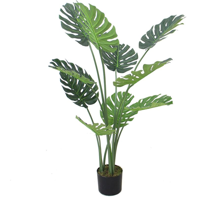 Leaf 120cm (4ft) Luxury Monstera Plant Black Pot