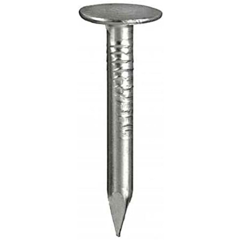 120gr - chiodi per carta catramata 2,8x25MM