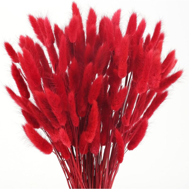 120pcs Fleurs Séchées Rouge Herbe de la Pampa Orange Pampas Sechees Decoration Naturel Fleurs Séchées Bouquet Fleurs Séchées Fleur Sechees pour Decor