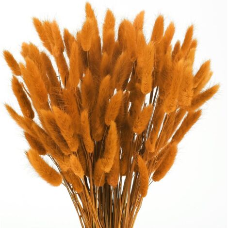120pcs Herbe de la Pampa Orange Naturelle - Fleurs Séchées Bouquet pour Décoration Maison, Anniversaire et Mariage