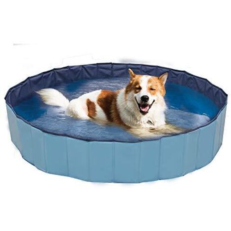 120x30 h cm: Piscina gioco rigida colore blu per cani