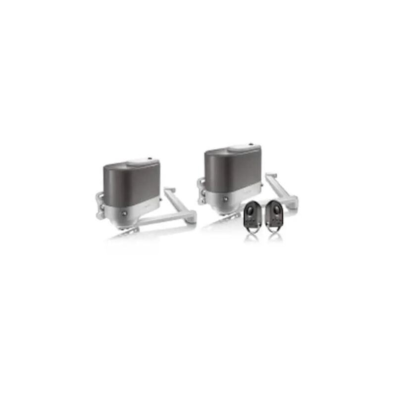 1216496 - Kit portail Somfy Axovia Multi Rts Std Pack