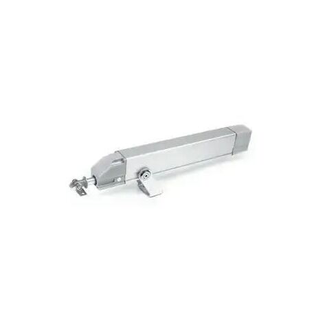 1230031 - Actuador de vástago de ventana Somfy Rodeo 300 230v
