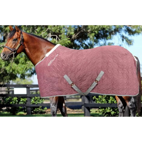 128 cm, Rosa: Coperta da box per cavalli modello Horses Quazar Velvet imbottitura 300g