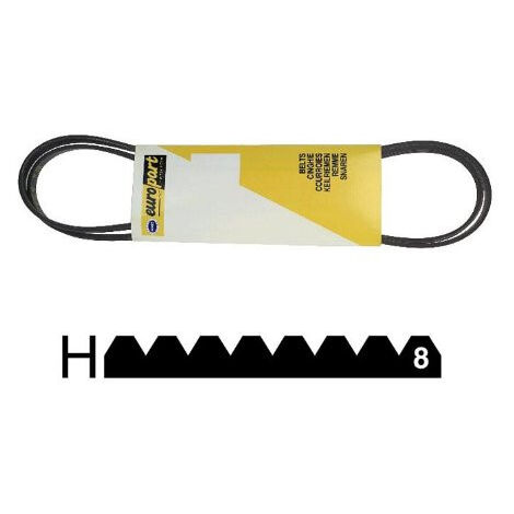 1287 H8 CORREA EXTENSIBLE MAEL para lavadora (referencia 10278)