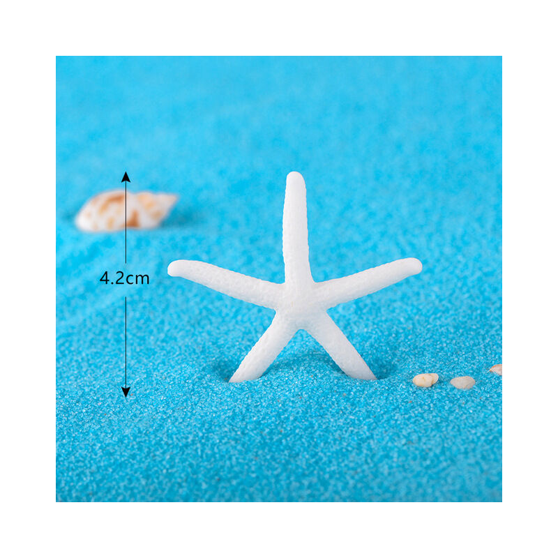 12PCS Colorful Star pesce di Mare Star Ocean