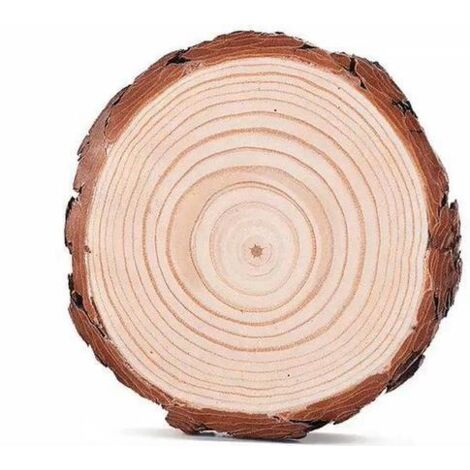 12PCS Tranches de Bois Naturel 10 11cm &Eacutepaisseur de 10mm, Rondelle Rond en Bois Rustique pour Artisanat Bricolage D&eacutecoration Murale