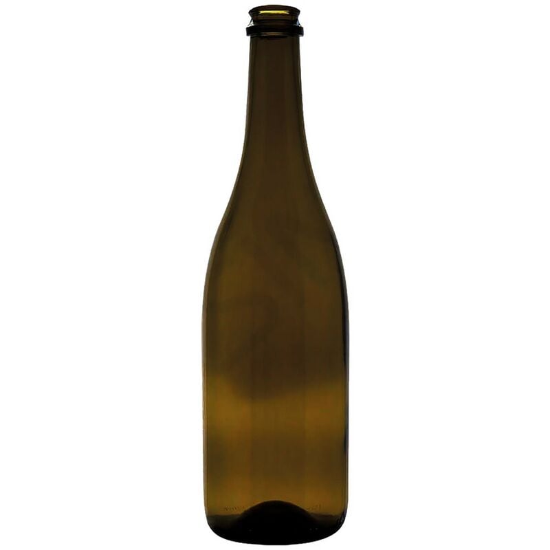 Image of 12PZ bottiglia in vetro tipo 'champagne' 750 ml - colore antico