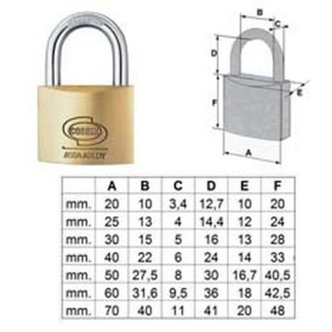 12PZ LUCCHETTO OTTONE ARCO NORMALE PRIUM PL110 - mm.30 (PL1103000)