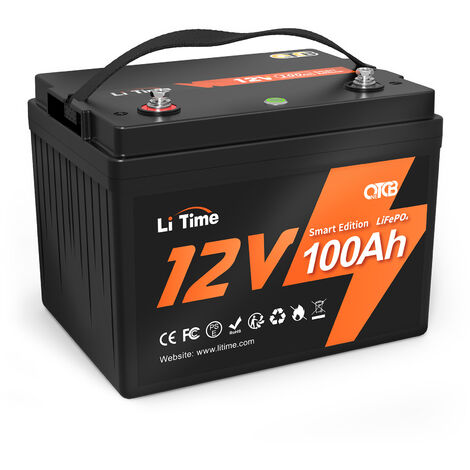 RENOGY 12V 100Ah 4000 LiFePo4 Lithium Batterie Smart BMS Akku mit