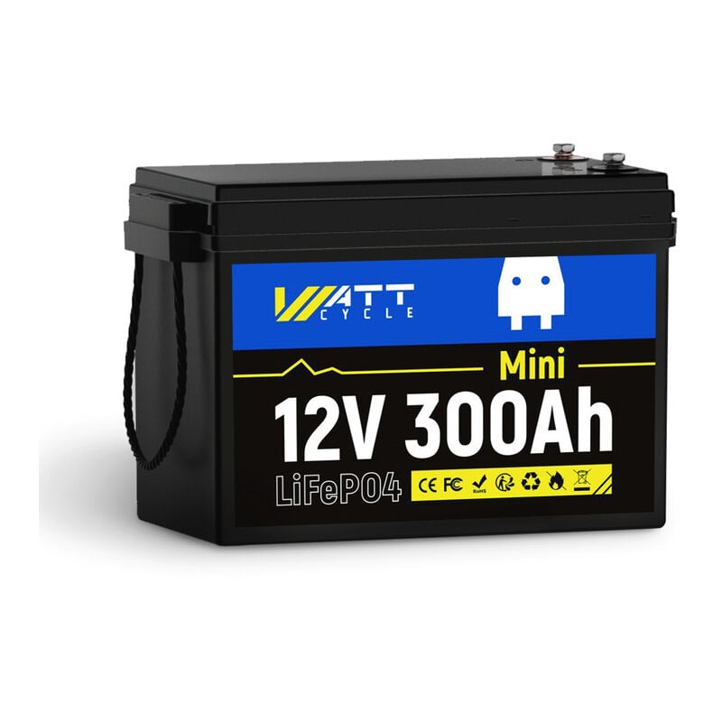 12V 300AH batterie LiFePO4, 3480Wh batterie lithium avec chargeur, sécurisé bms intégré Protect, 15000 Deep Cycle Recharging, idéal pour