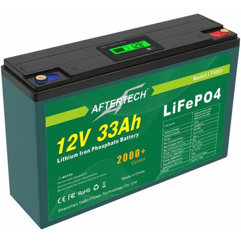 EZA Caricabatterie 12V 20A Automatico Pb Gel AGM Litio per Camper