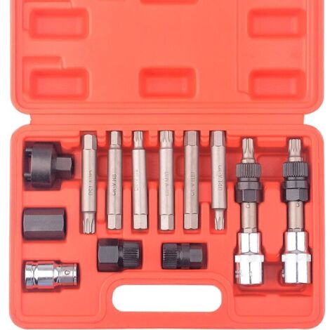 13 pièces poulie roue libre alternateur voiture garage kit outils Hex Spline Star Bits