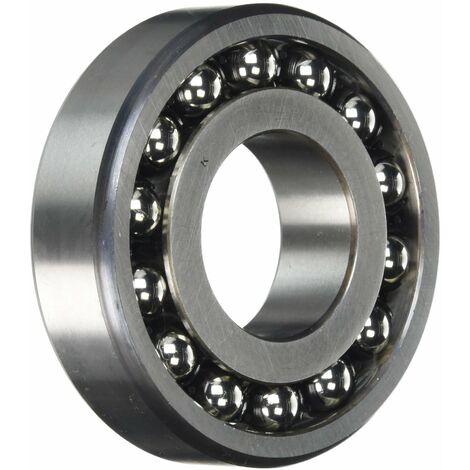 1307 KTNC3 NSK double Row self Aligning Ball Bearing