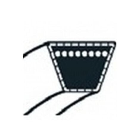 SECURA Courroie Compatible Avec Mac Allister 5553 BHW