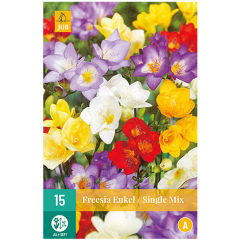 15 FREESIAS SIMPLE MIX. . Marque : Jub. Réf. : 112870