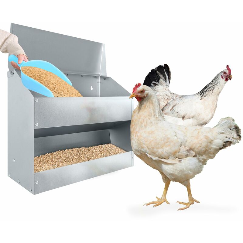 15 kg d'aliments pour poulets Grande mangeoire automatique pour poulets, mangeoire galvanisée, support mural avec couvercle, mitaine et cuillère,