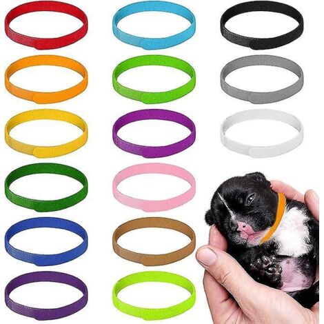 15 Pcs Colliers Identification De Chiot, 30 Cm Colliers Pour Chiots Colliers Bandes 15 Couleurs Collier Chaton Rglables Pour Nouveau-n Animaux De