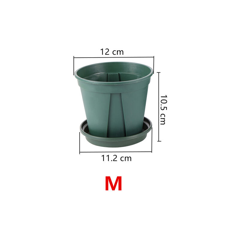 15 Pcs radice crescente vaso di controllo con