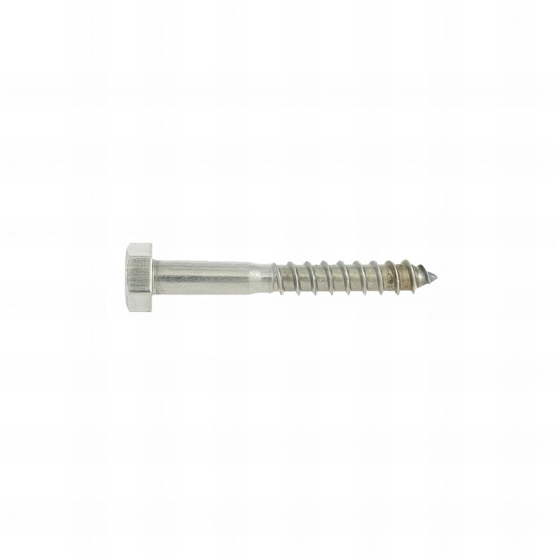 Rotofor - 15 vis à boit tête hexagonale DIN571 inox A2 - diamètre 12 x 60 mm