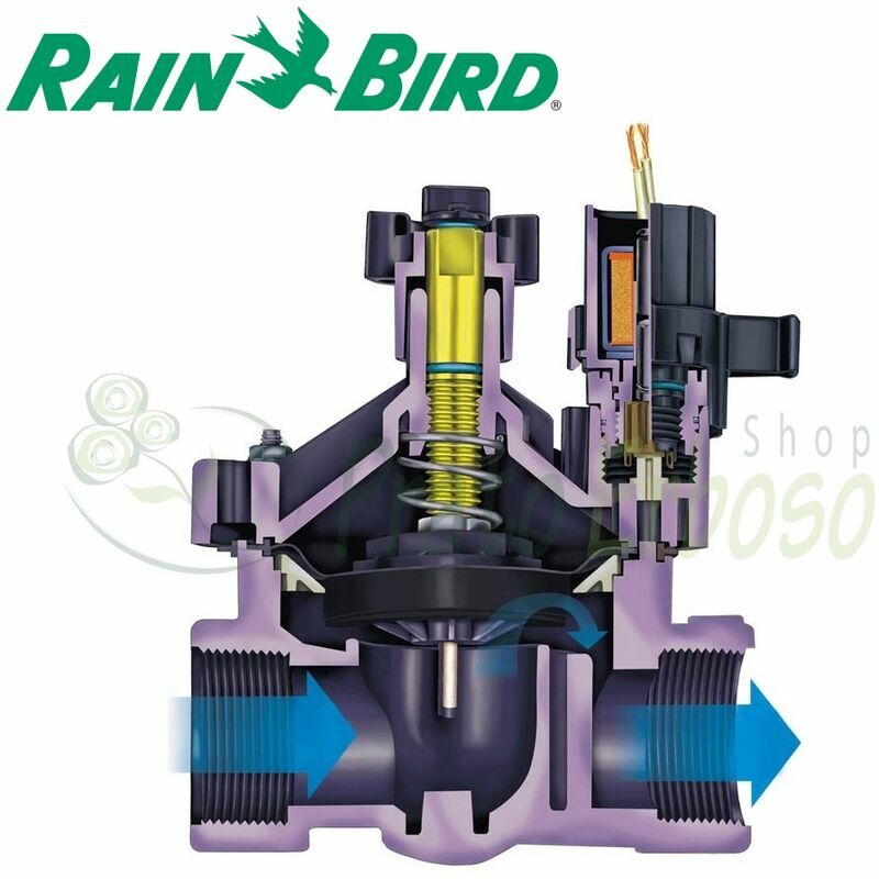 

Rain Bird - 150-PESB - 1' válvula de Solenoide 1/2