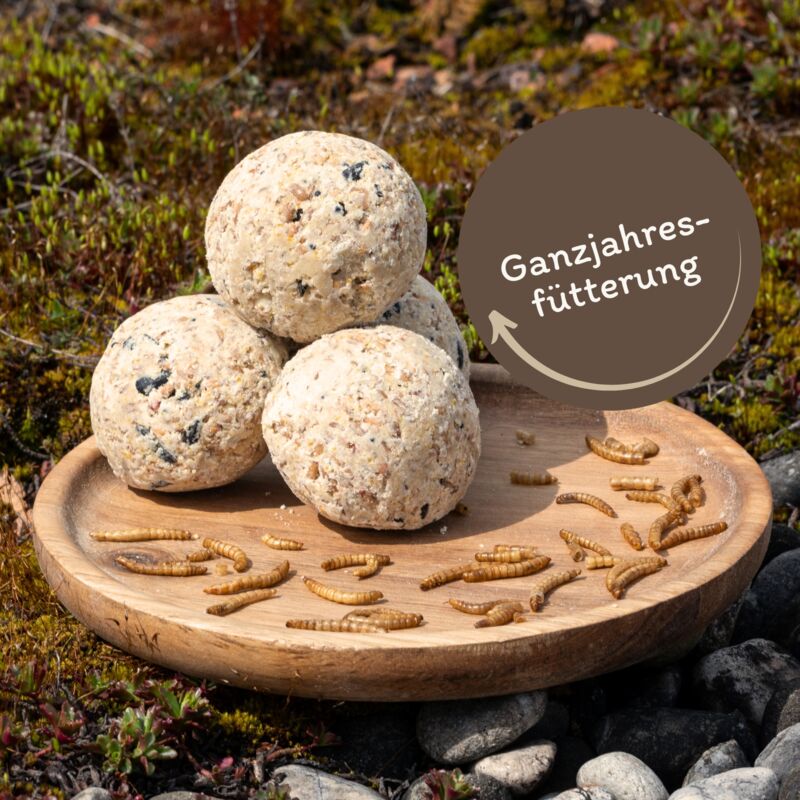 150 pcs. Lyra Pet® Boulettes de mésanges Alb-Mühle sans filet à 85 g y compris distributeur - Protéine